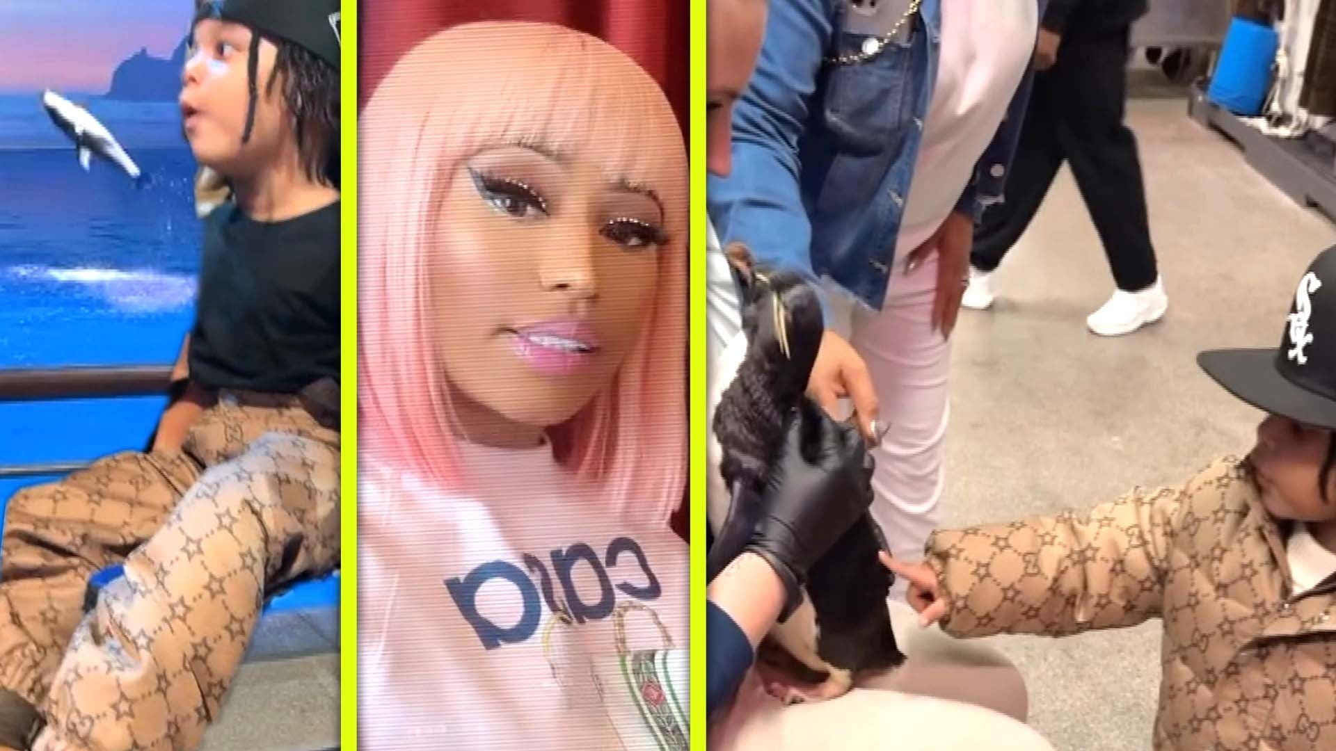 Nicki Minaj Gives Her Papa Bear an Epic Day at the Chicago Aquarium