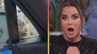 Kyle Richards Panics Over Rat on Her Car