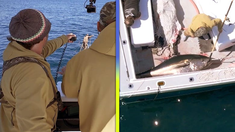  Watch Fisherman Spear Nearly 8-Foot-Long Tuna! (Exclusive)