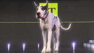 ‘The Friend’: How Bing the Great Dane Stole the Hearts of Hollywood