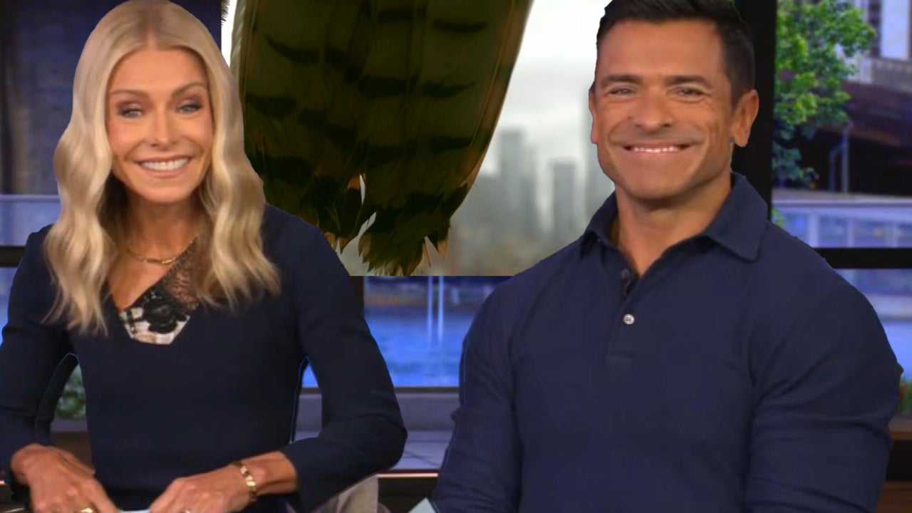 Kelly Ripa and Mark Consuelos' Live Show Hijacked by Live Bird