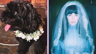 Jenny Lewis Marries Her Dog for Her 50th Birthday