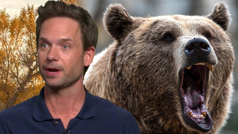 Patrick J. Adams Shares ‘Very Scary’ Bear Encounter Near 'The Madison' Set (Exclusive)